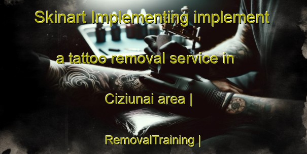 Skinart Implementing implement a tattoo removal service in Ciziunai area | RemovalTraining | RemovalClasses | SkinartTraining-Lithuania